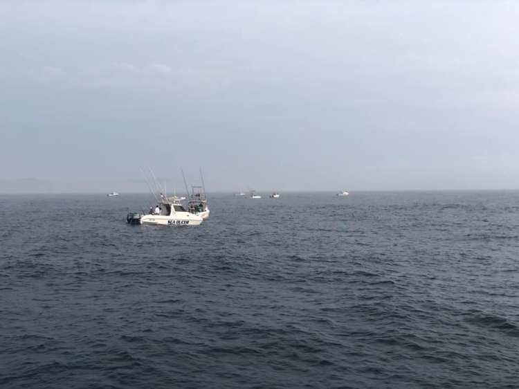 51914290_1123993124433880_447930398521950208_n